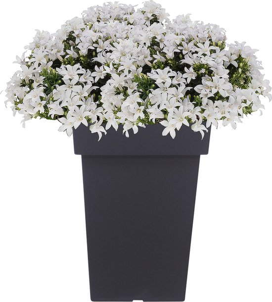 Form Plastic Plantenpot/bloempot Mika - kunststof - lichtgrijs - D30 x H32 cm | Leen Bakker