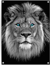 Tuinposter Leeuw met blauwe ogen 80x60 cm
