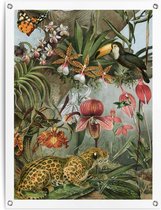 Tuinposter Jungle Flowers 80x60 cm