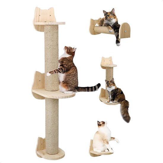 2 échelles griffoir et 2 maisons, Mur d'escalade chat, Animaux de  compagnie, Chats, Poteau d'escalade pour chat