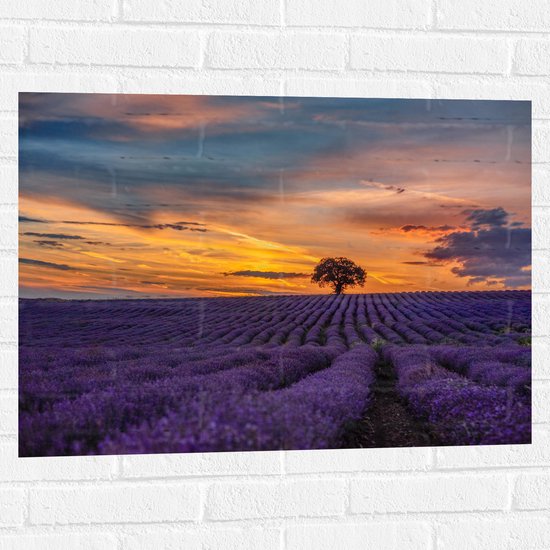 Muursticker - Landschap - Bloemen - Planten - Boom - Lavendel - Zonsondergnag - Paars - 80x60 cm Foto op Muursticker