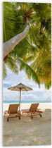Acrylglas - Schuingroeiende Palmboom boven Ligbedden en Parasol op het Strand - 30x90 cm Foto op Acrylglas (Wanddecoratie op Acrylaat)