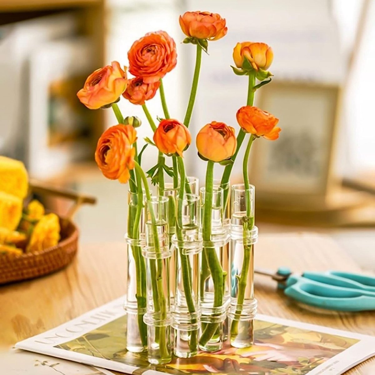 Vase en verre pliable, vase de tube à essai pour fleurs, vase de tube à  essai... | bol