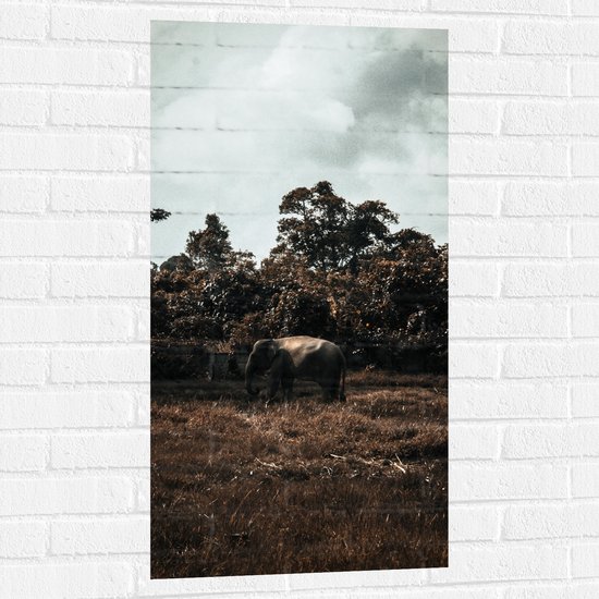 Muursticker - Dieren - Olifant - Bomen - Bossen - Gras - 50x100 cm Foto op Muursticker