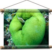 Textielposter - Onderwaterleven - Oceaan - Zee - Dieren - Vissen - Koraal - 40x30 cm Foto op Textiel
