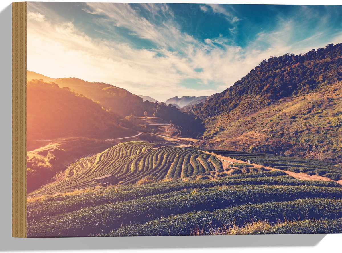 Hout - Sluierbewolking over Natuurrijk Landschap - 40x30 cm - 9 mm dik - Foto op Hout (Met Ophangsysteem)