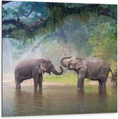 Dibond - Spelende Olifanten in Beekje in de Jungle - 100x100 cm Foto op Aluminium (Wanddecoratie van metaal)