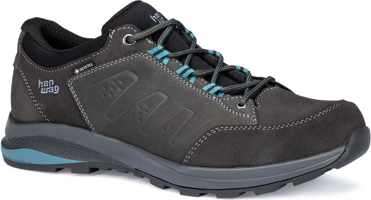 Torsby LOW SF Extra GTX Grijze wandelschoen voor heren Grijs