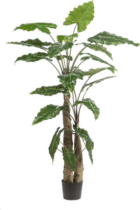 Kunstplant - Alocasia - Olifantsoor - 180 cm