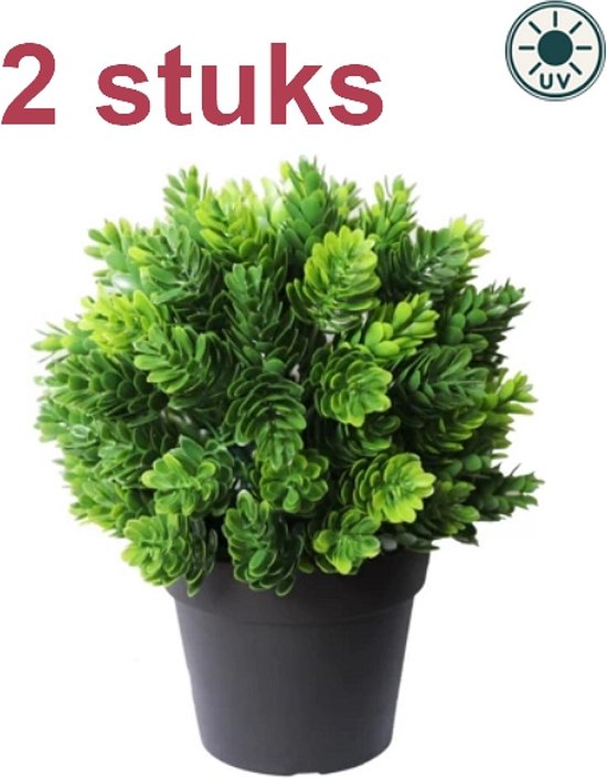 Kunstplant conifeer in pot met 2 stuks aanduiding en UV-symbool.