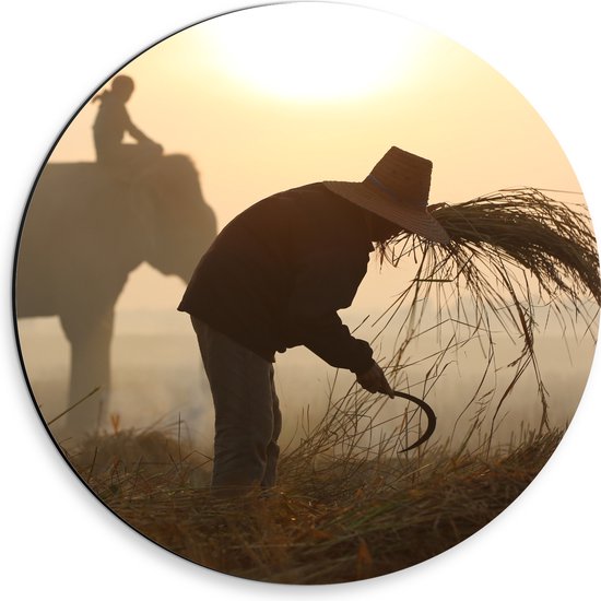 Dibond Muurcirkel - Persoon op Olifant bij Boer in Weiland - 30x30 cm Foto op Aluminium Muurcirkel (met ophangsysteem)