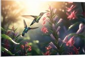 Acrylglas - Kolibries Vliegend bij Roze Plantgjes - 105x70 cm Foto op Acrylglas (Wanddecoratie op Acrylaat)