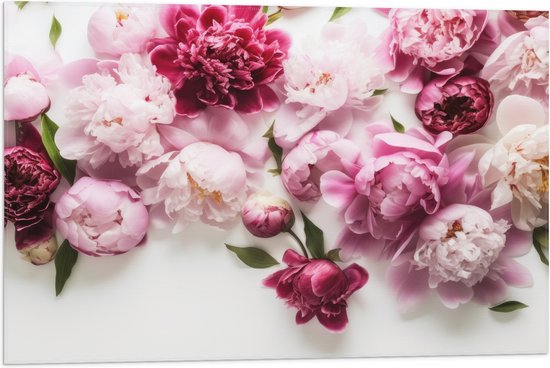 Vlag - Mix van Roze Bloemen op Witte Achtergrond - 75x50 cm Foto op Polyester Vlag