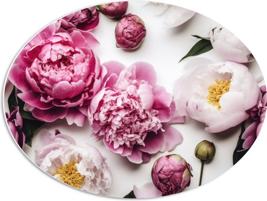 PVC Schuimplaat Ovaal - Mix van Roze en Witte Bloemen op Witte Achtergrond - 56x42 cm Foto op Ovaal (Met Ophangsysteem)