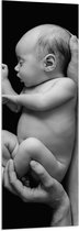 Acrylglas - Pasgeboren Baby in Handen van Vader (Zwart- wit) - 50x150 cm Foto op Acrylglas (Wanddecoratie op Acrylaat)