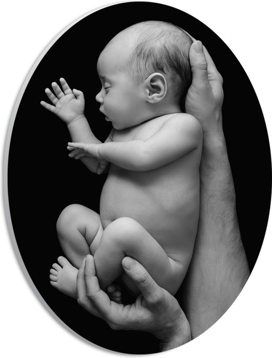 PVC Schuimplaat Ovaal - Pasgeboren Baby in Handen van Vader (Zwart- wit) - 21x28 cm Foto op Ovaal (Met Ophangsysteem)