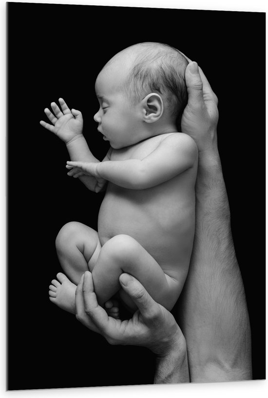 Dibond - Pasgeboren Baby in Handen van Vader (Zwart- wit) - 80x120 cm Foto op Aluminium (Met Ophangsysteem)