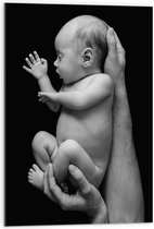 Acrylglas - Pasgeboren Baby in Handen van Vader (Zwart- wit) - 50x75 cm Foto op Acrylglas (Wanddecoratie op Acrylaat)