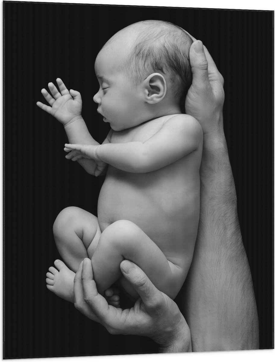 Vlag - Pasgeboren Baby in Handen van Vader (Zwart- wit) - 75x100 cm Foto op Polyester Vlag