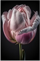 Poster (Mat) - Close-up van Roze Tulp tegen Zwarte Achtergrond - 40x60 cm Foto op Posterpapier met een Matte look
