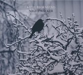 Ketil Bjornstad - Nightwalker (2 CD)