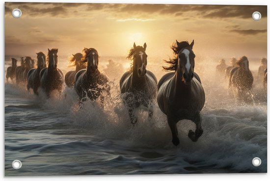 Tuinposter – Vooraanzicht van Kudde Galopperende Paarden in de Zee - 60x40 cm Foto op Tuinposter (wanddecoratie voor buiten en binnen)