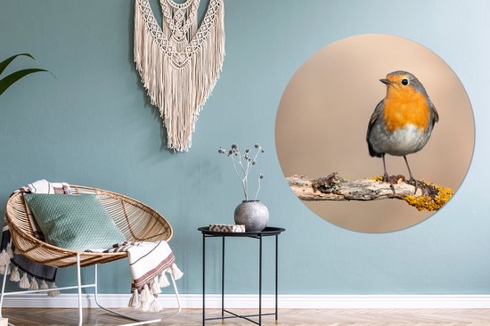 WallCircle - Cercle Mural - Cercle Mural - Rouge-gorge - Vogel - Animaux - Animaux - Aluminium - Dibond - 140x140 cm - Intérieur et Extérieur
