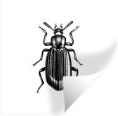 Stickers muraux - Film autocollant - Coléoptère - Animaux - Vintage - 50x50 cm - Film adhésif - Stickers muraux Chambre d'enfant - Papier peint autocollant - Papier peint autocollant - Film autocollant