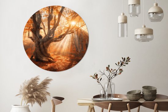 WallCircle - Stickers muraux - Cercle de papier peint - Arbre - Nature - Automne - ⌀ 120 cm - Cercle mural - Autocollant - Sticker papier peint rond XXL