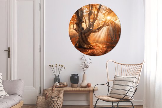 WallCircle - Stickers muraux - Cercle de papier peint - Arbre - Nature - Automne - ⌀ 120 cm - Cercle mural - Autocollant - Sticker papier peint rond XXL