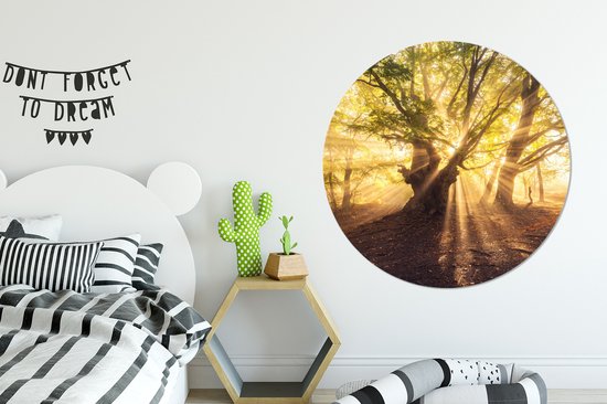 WallCircle - Stickers muraux - Cercle de papier peint - Arbre - Forêt - Soleil - 120x120 cm - Cercle mural - Autocollant - Autocollant de papier peint rond XXL