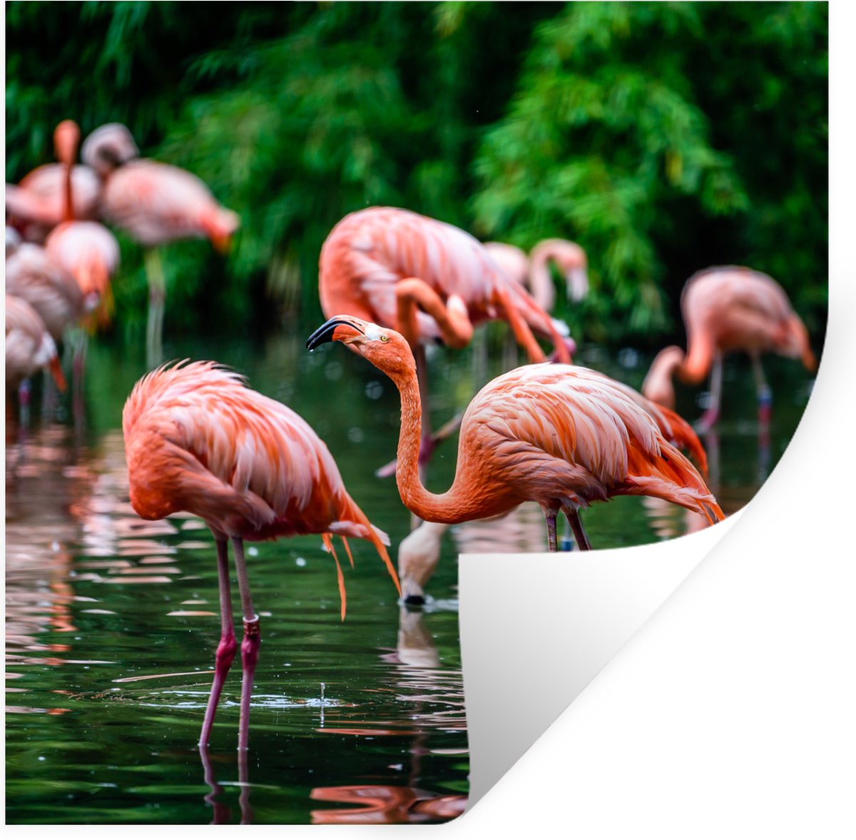 Muurstickers - Sticker Folie - Flamingo - Tropisch - Vogel - Water - Roze - 80x80 cm - Pla