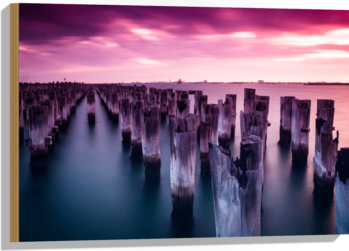 Hout - Palen - Water - Hout - Zee - Kleuren - 75x50 cm - 9 mm dik - Foto op Hout (Met Opha