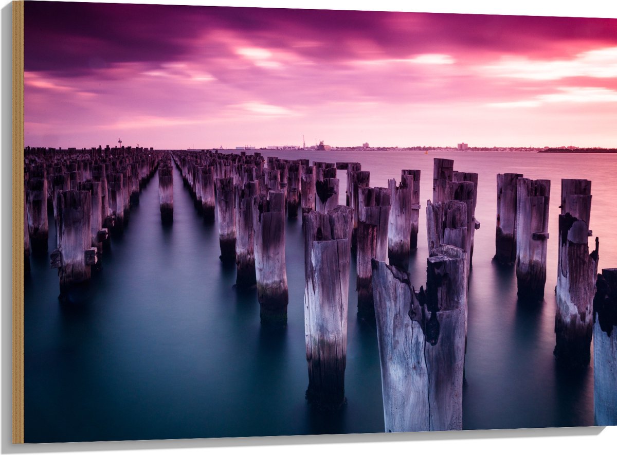 Hout - Palen - Water - Hout - Zee - Kleuren - 100x75 cm - 9 mm dik - Foto op Hout (Met Oph