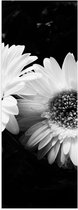 Poster Glanzend – Bloemen - Natuur - Zwart - Wit - 20x60 cm Foto op Posterpapier met Glanzende Afwerking