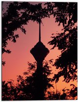 Dibond - Euromast - Bomen - Bladeren - Kleuren - 60x80 cm Foto op Aluminium (Wanddecoratie van metaal)