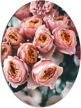 Dibond Ovaal - Bloemen - Bladeren - Natuur - Roze - Oranje - 60x80 cm Foto op Ovaal (Met Ophangsysteem)