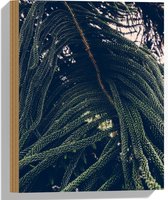 Hout - Bomen - Planten - Bladeren - Hout - Natuur - 30x40 cm - 9 mm dik - Foto op Hout (Met Ophangsysteem)