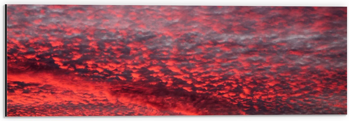 Dibond - Rode Gloed over Sluierbewolking in de Lucht - 60x20 cm Foto op Aluminium (Met Ophangsysteem)
