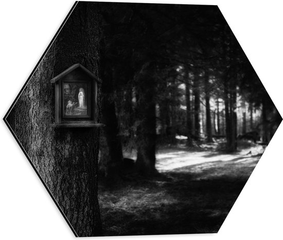 Dibond Hexagon - Bossen - Bomen - Vogelhuisje - Zwart - Wit - 40x34.8 cm Foto op Hexagon (Met Ophangsysteem)
