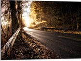 Dibond - Bomen - Bossen - Weg - Natuur - 80x60 cm Foto op Aluminium (Wanddecoratie van metaal)