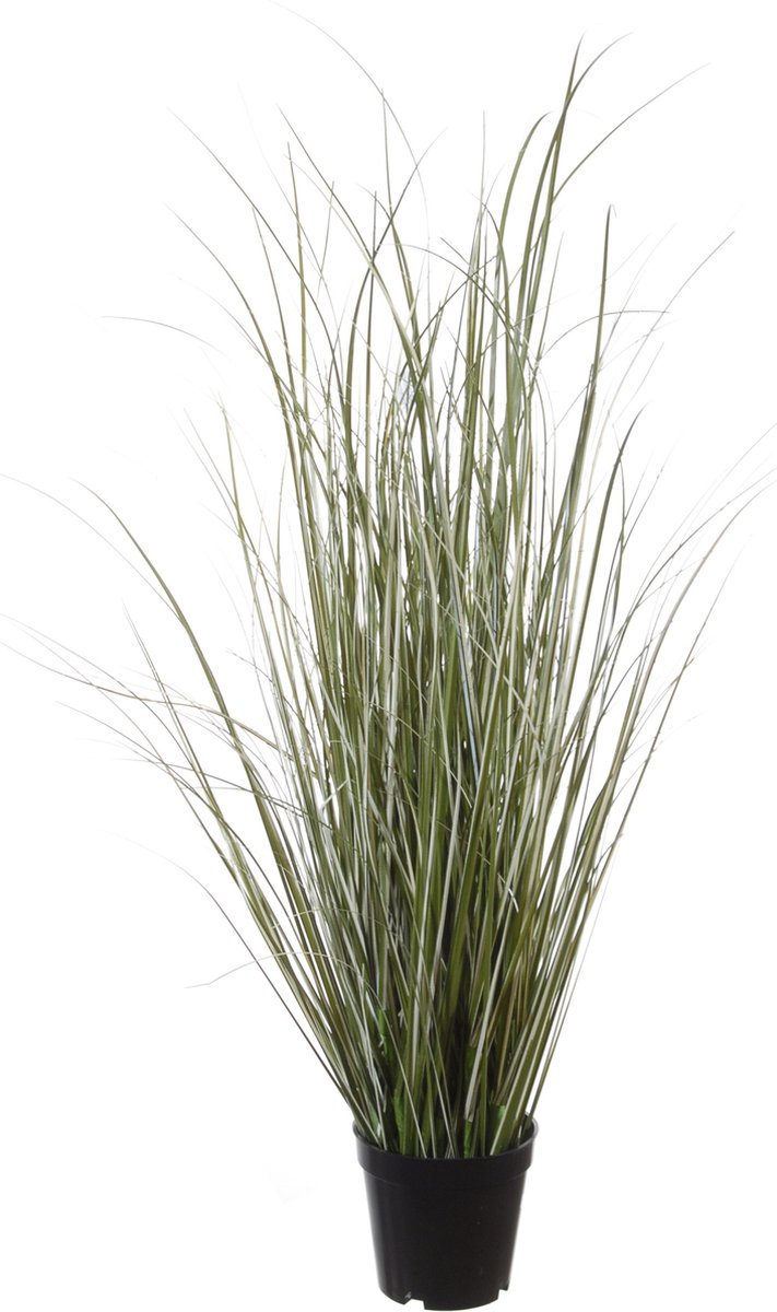 Louis Maes Quality kunstplant - Siergras sprieten helmgras - donkergroen - H75 cm - in pot