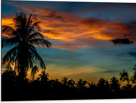 Dibond - Silhouet van Hoge Boom bij Kleinere Bomen onder Oranje Wolken - 80x60 cm Foto op Aluminium (Wanddecoratie van metaal)