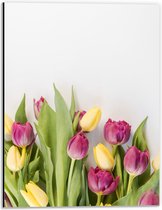 Dibond - Bloemen - Tulpen - Kleuren - 30x40 cm Foto op Aluminium (Wanddecoratie van metaal)