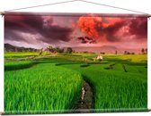 Textielposter - Roze Wolkenveld boven Bloeiende Rijstvelden - 120x80 cm Foto op Textiel