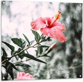 Tuinposter – Bloemen - Planten - Roze - Groen - Bladeren - 100x100 cm Foto op Tuinposter (wanddecoratie voor buiten en binnen)
