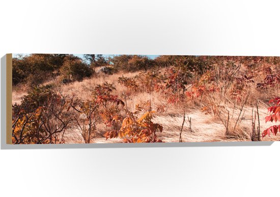 Hout - Landschap - Bomen - Bloemen - Planten - Wind - Kleuren - 90x30 cm - 9 mm dik - Foto op Hout (Met Ophangsysteem)
