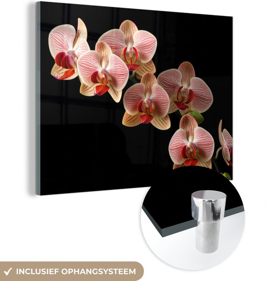 MuchoWow® Glasschilderij 120x90 cm - Schilderij acrylglas - Bloemen - Orchidee - Roze - Botanisch - Natuur - Foto op glas - Schilderijen