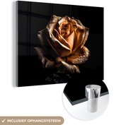 MuchoWow® Peinture sur verre - Rose - Or - Fleurs - Botanique Zwart - 160x120 cm - Peintures sur verre acrylique - Photo sur Glas