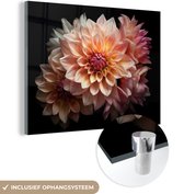 MuchoWow® Peinture sur verre - Dahlia - Fleurs - Rose - Zwart - Botanique - 80x60 cm - Peintures sur verre acrylique - Photo sur Glas